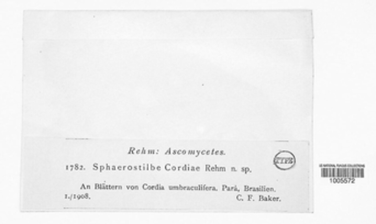 Nectriopsis cordiae image